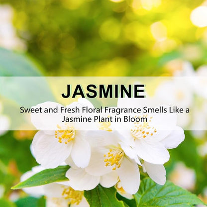 ROSE COTTAGE Large 12 Packs Jasmine Hanging Closet Deodorizer Air Freshener - Image 7