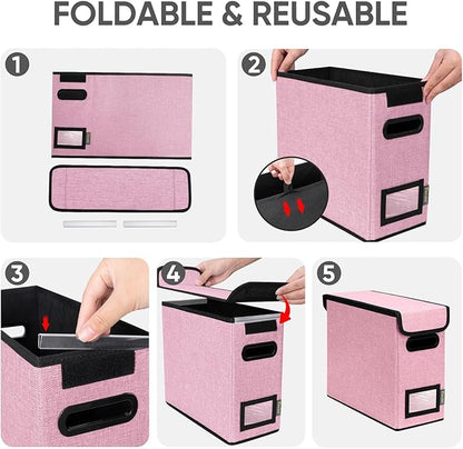 BALEINE File Organizer Box - Image 8