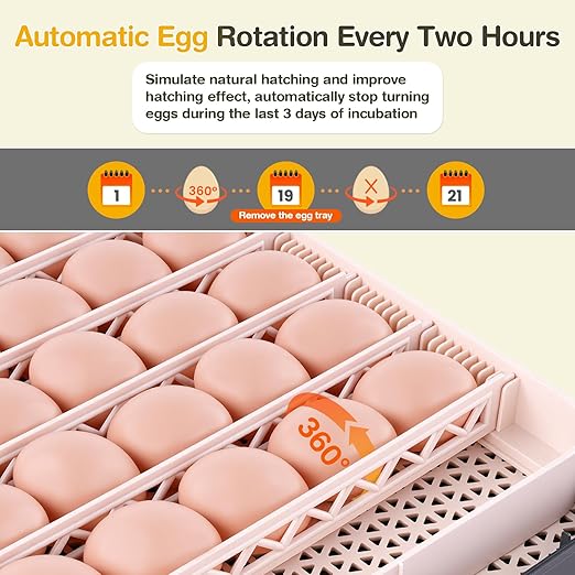 Sailnovo 48 Egg Incubator for Hatching Eggs - Image 5