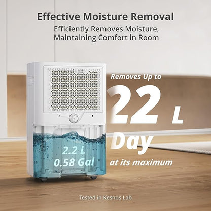 Kesnos 4, 500 Sq. Ft. Energy Star Dehumidifier - Image 5