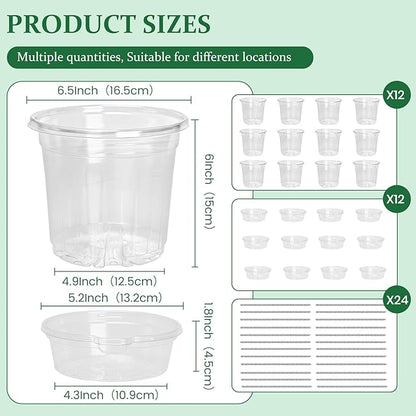 12 Pack 6.5 Inch Clear Self Watering Plant Pots - Image 2