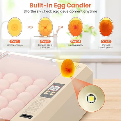 36-60 Egg Incubator with Automatic Egg Turning and Humidity Control, Adjustable - Image 5