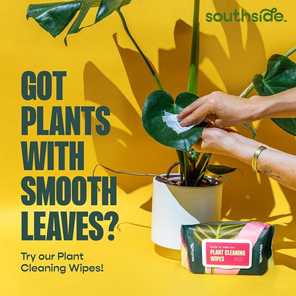 Southside Plant Cactus & Succulent Plants Cleaning Brushes - Image 5