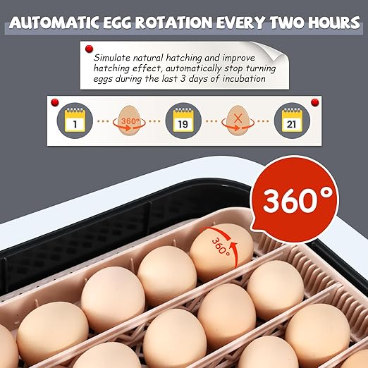 Sailnovo Incubators for Hatching Eggs 70 Egg Incubator - Image 5