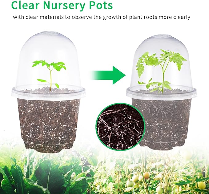 JOPY 30 Pack 4 Inch Plastic Nursery Pots - Image 5