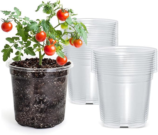 30 Packs 5 Inch Reinforced Clear Nursery Pots by Bluepro