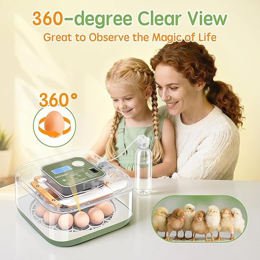 Incubator for Hatching Eggs Automatic Humidity and Temperature Control 12 Eggs - Image 4