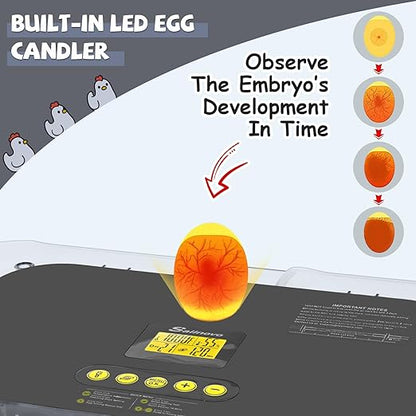 Sailnovo Incubators for Hatching Eggs 70 Egg Incubator - Image 6