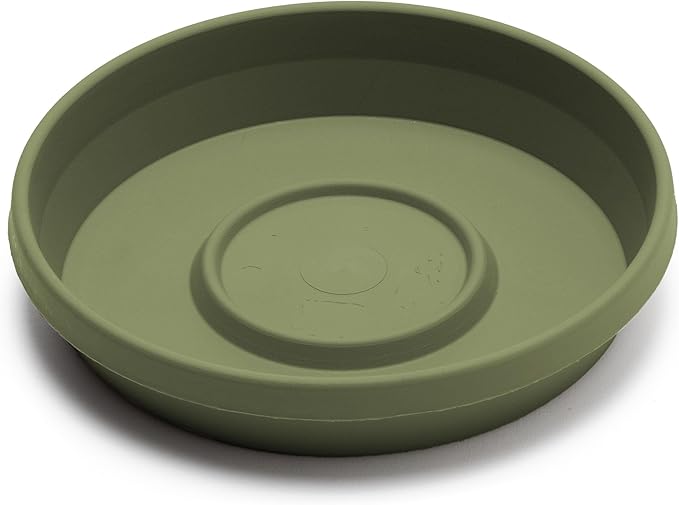 Bloem Terra Resin Saucer Tray: 11.25" Bottom Width - Image 3