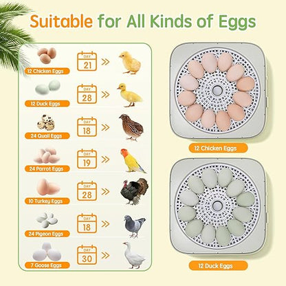 Incubator for Hatching Eggs Automatic Humidity and Temperature Control 12 Eggs - Image 7
