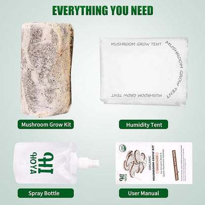 Large Organic Lion's Mane Mushroom Grow Kit - Image 6