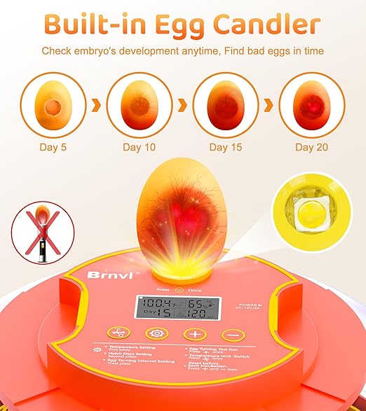 18 Egg Incubator with Automatic Egg Turning, Digital Temperature Humidity - Image 5