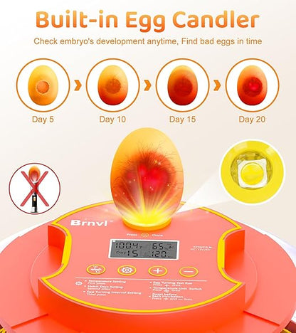 18 Egg Incubator with Automatic Egg Turning, Digital Temperature Humidity - Image 5
