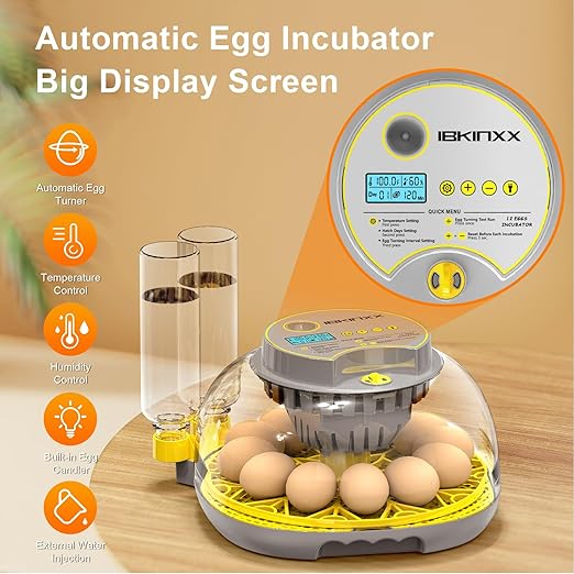 Incubator for Hatching Eggs-12 Egg Capacity, 2026 Newly Upraded Automatic Egg - Image 3