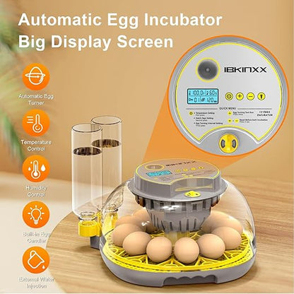 Incubator for Hatching Eggs-12 Egg Capacity, 2026 Newly Upraded Automatic Egg - Image 3