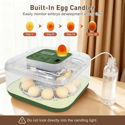 4th Gen – 12 Egg Fully Automatic Incubator, 2026 Upgraded Design, Intelligent - Image 2