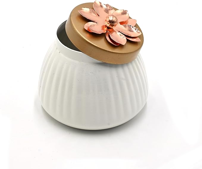Set of 75 Lot Dry Fruit Jar - Image 5