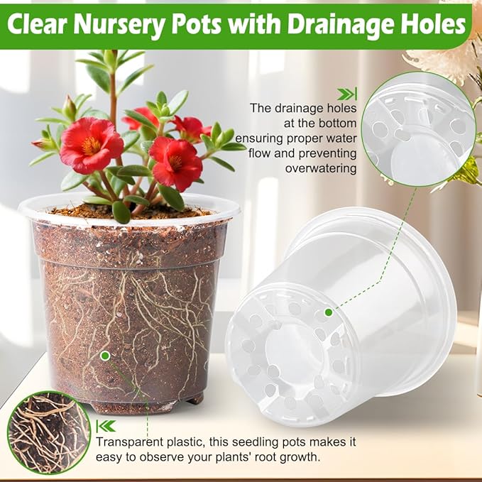 6 Inch Clear Nursery Pots with Humidity Dome, 30 Pack Reusable Seed Starter Pot - Image 3
