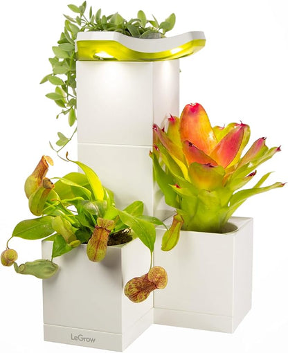 LeGrow Indoor Planter with LED Grow Light, Automatic 12 Hours Timer, 7 Days by LeGrow