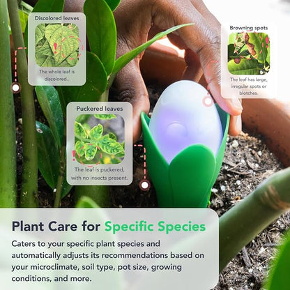 Flora Pod AI-Powered Smart Plant Monitor | - Image 5