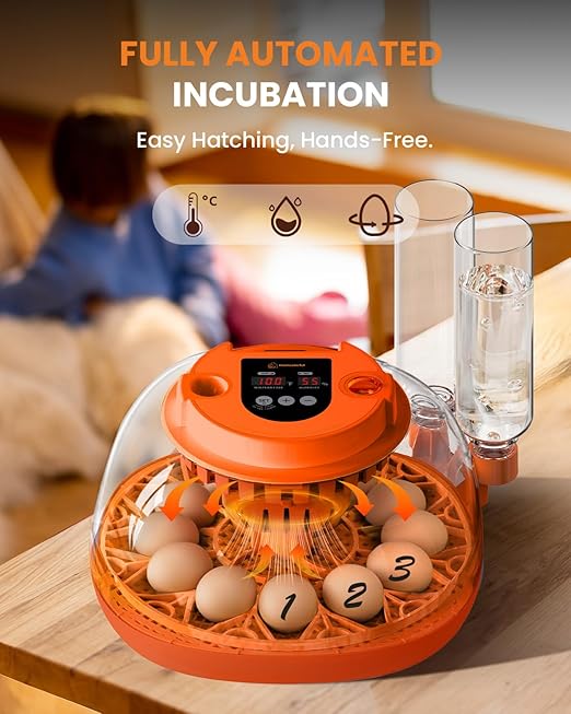 12 Egg Incubator with Automatic Turning & Humidity Control, Fully Automatic - Image 2