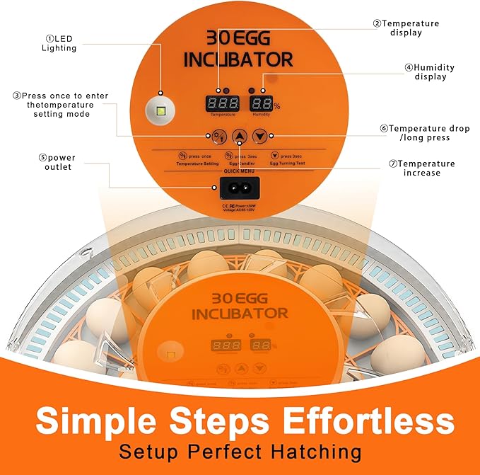 30 Egg Incubator with Automatic Egg Turning and Humidity Control, 360 Degree - Image 3