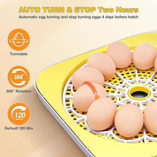 Sailnovo 12 Egg Incubators for Hatching Egg - Image 4
