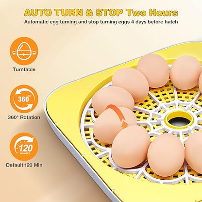 Sailnovo 12 Egg Incubators for Hatching Egg - Image 4