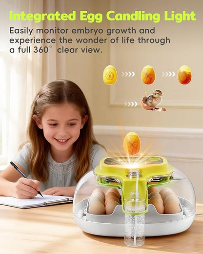 Incubators for Hatching Eggs, 2026 Upgraded 16 Eggs Incubator - Image 7