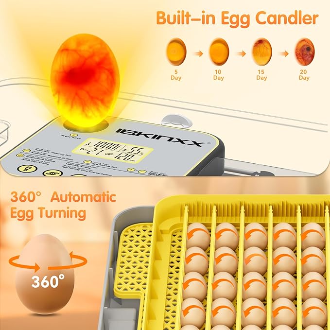 Incubator for Hatching Eggs-48 Egg Capacity, 2026 Newly Upraded Auto Egg Turner - Image 2