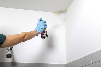 Rust-Oleum Zinsser 287512-6PK Mold Blocking Spray Primer, 13.00 Fl Oz - Image 3