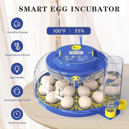 Incubators for Hatching Eggs, 18-Egg Incubator - Image 7