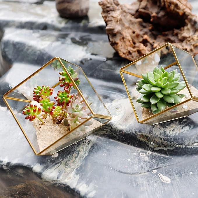 ELEGANTLIFE Glass Geometric Plant Terrarium, Succulent & Air Planter - Image 5