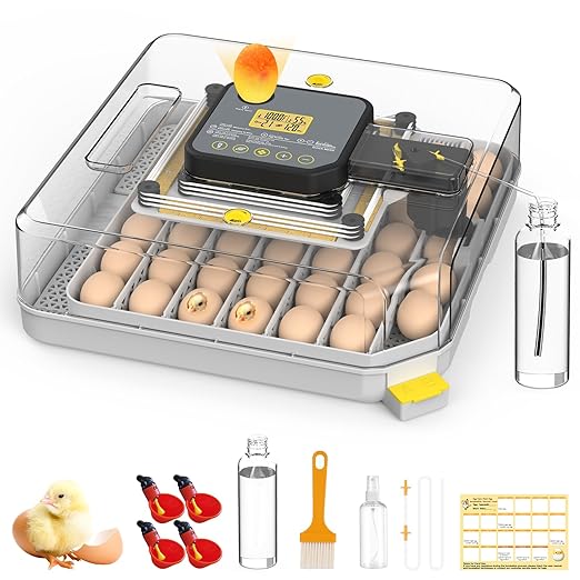 Incubator for Hatching 48 Eggs by Unknown