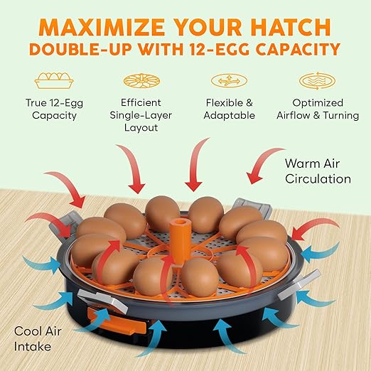 12 Egg Incubator with Automatic Egg Turning and Humidity Control – Temperature - Image 3