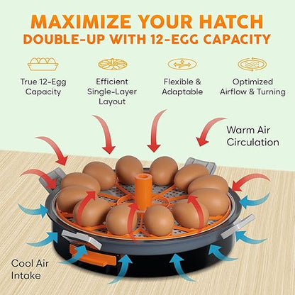 12 Egg Incubator with Automatic Egg Turning and Humidity Control – Temperature - Image 3