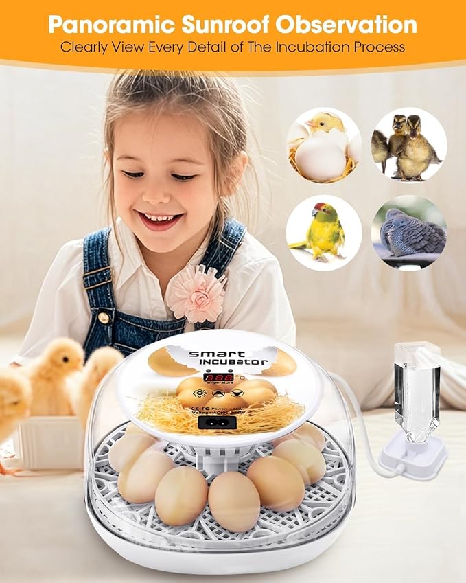 Incubators for Hatching Eggs, Chicken Waterer Cups, Automatic Egg Turner Holds - Image 2