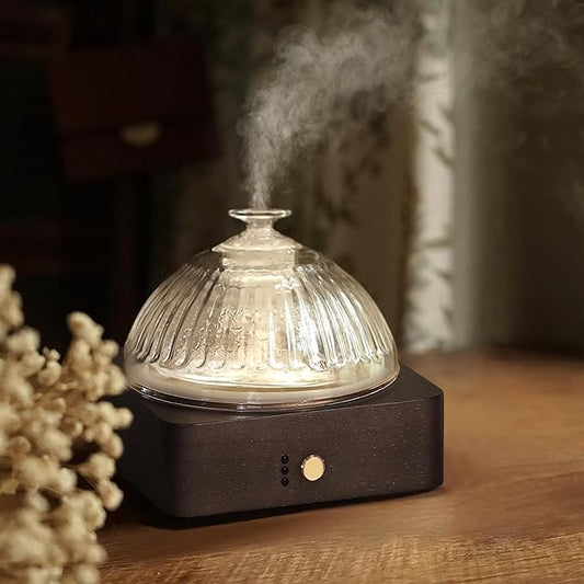Glass Dome Essential Oil Diffuser by Levoair