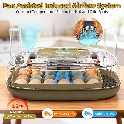 24 Incubators for Hatching Eggs, Egg Incubator - Image 2