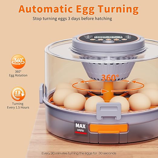12 Egg Incubators for Hatching Eggs - Image 7