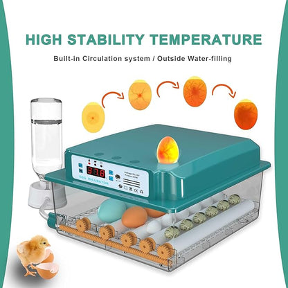 Choies 16 Egg Incubator, Incubators - Image 6