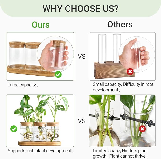 Dahey Plant Propagation Terrarium Desktop Glass Planter Station Water Planting - Image 5