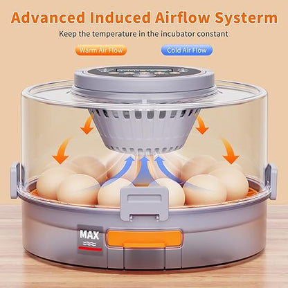 12 Egg Incubators for Hatching Eggs - Image 5
