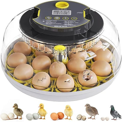 Incubator for Hatching Eggs-18 Egg Capacity, Automatic Egg Turner, Temperature by IBKINXX