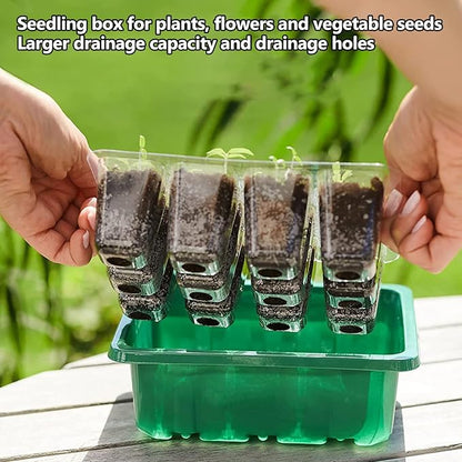 payanwin 6-Pack Seed Starter Tray Kit - Image 4