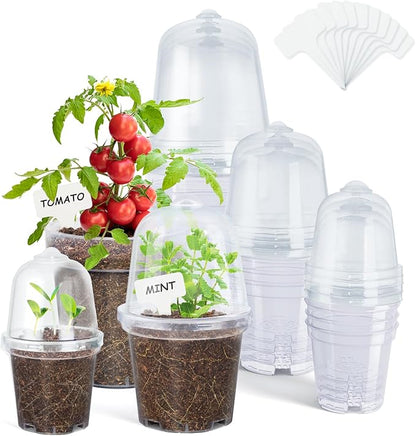 homenote Clear Nursery Pots for Plants, 3/4/5 Inch Plant Pot for Planting by HOMENOTE