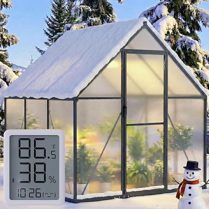6×6FT Greenhouse for Outdoors, Walk-in Greenhouse and Winter Garden Planting by WUKHG