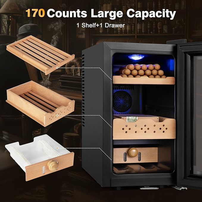 Electric Cooler Cabinet 25L - Image 5