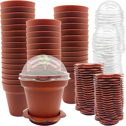 50 Packs Cupcake Plant Nursery Pots by PurpleStar