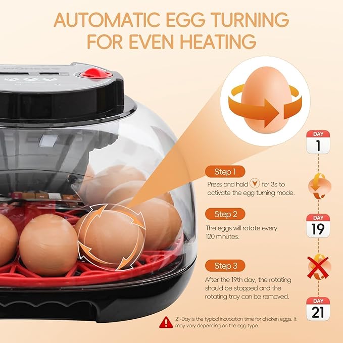 Simple Plus 12-Egg Incubator for Beginners, Full-Stage Adaptive Humidity & Temp - Image 3